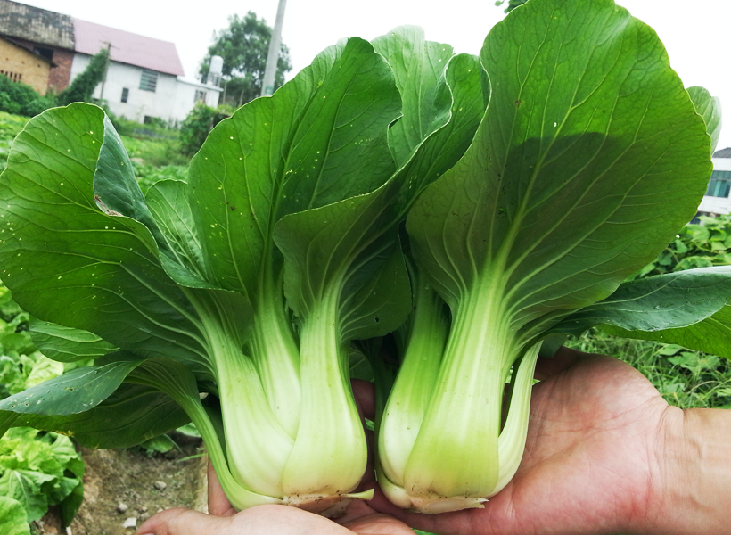 bb贝博ballbet:深度游戏资讯_天极网游戏频道