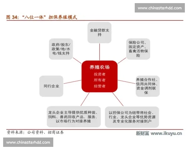 中国香港与马来西亚多领域交流与合作现状深度分析